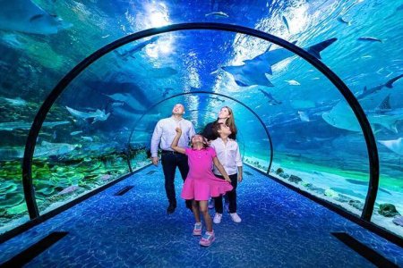 Tha National Aquarium Abu Dhabi
